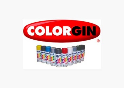 Tinta Spray Colorgin
